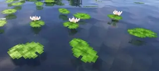 Txyme's Cottagecore Textures