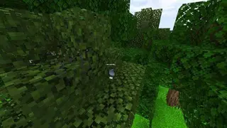 ESP Textures