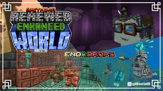 Renewed Enhanced World - End & Drops