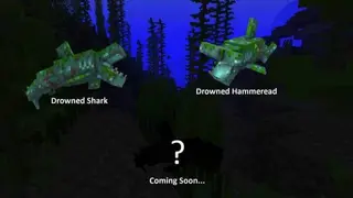 Sharks Textures