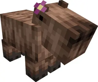 Capybara Textures