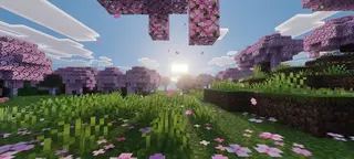 Voxen Visuals Textures