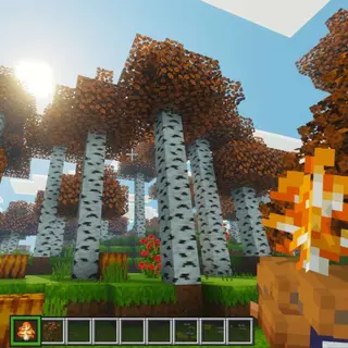Orange Trees For A&S Textures