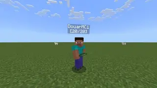 Display Player & Mob Health Textures