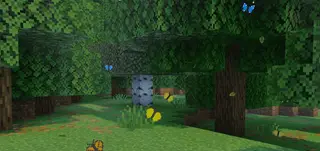 Fused's Butterflies Textures