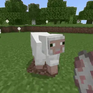 Dynamic Animations