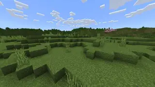 Better Grass