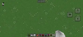 Simple grass flowers