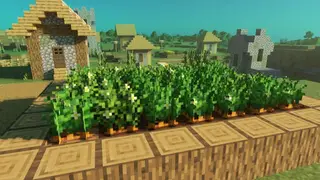 Crops Plus+