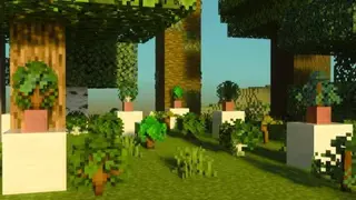 Better Saplings Textures