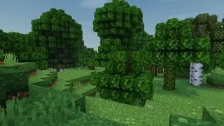 Bushy Leaves Textures