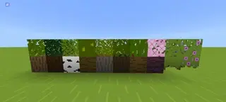 Better Bones Textures