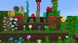 Real Waving Plants Textures