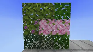 Moving Leaves Textures