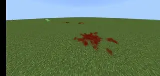Blood Patch