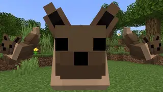 Eeveelutions