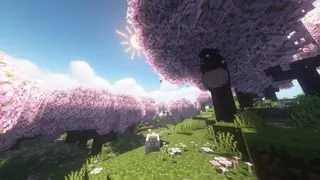 Better Leaves Textures