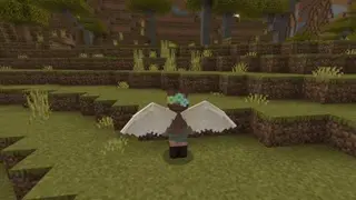 3d Angel Elytra Re-Model and Re-Texture