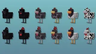 Cluckier Chickens Textures
