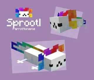 Sprootl Pack