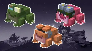 Amphibia Pack Textures