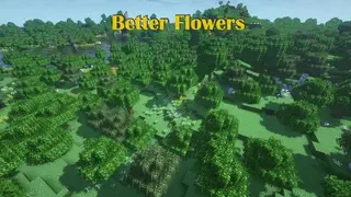Better Flowers 2 Textures