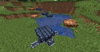 Better Turtle Variants Textures