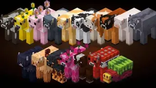 Recrafted Animals