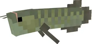 MrLM's Fish - Over 50+ Arowana and Koi