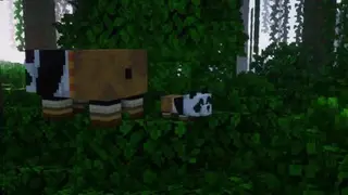 Kung Fu Panda Textures