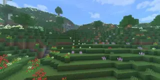 Better Flowers Textures