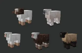 Minecraft Earth Sheeps Textures