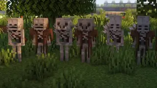 Better Skeletons Textures