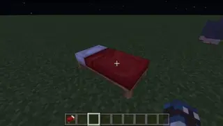 Bed Crasher Exploit