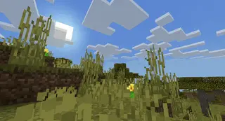 Waving Grass