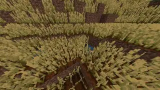 Variated Crops Textures