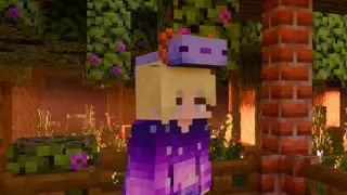 Wearable Axolotl Mob Heads Textures