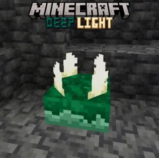 Deep Light Textures