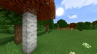 AK Textures