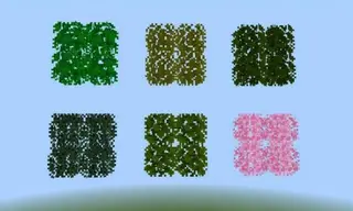 Realistic Trees Textures