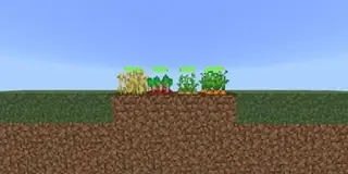 Grow Seed Level Textures