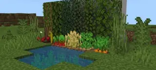 Waving Leaves and Water Textures