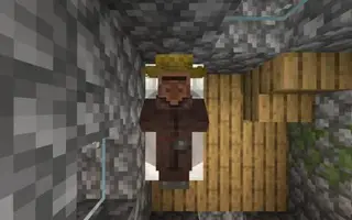 Villager Eyes Sleeping Textures