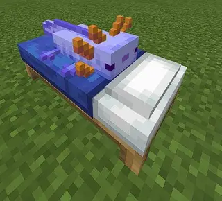 Axolotl Beds Textures