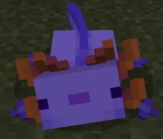 Better Axolotls Textures