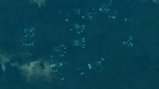 Glittery Glow Squids Textures