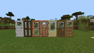 Windowed Doors and Trapdoors