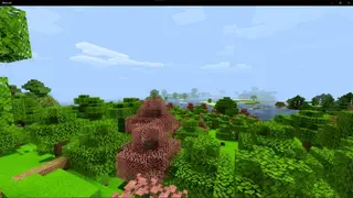 Seasonal Foliage Textures
