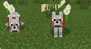 Vanilla Animation Textures