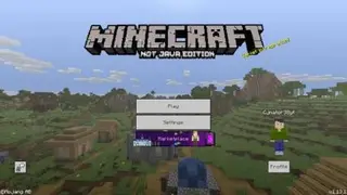 Not Java Edition Subtitle